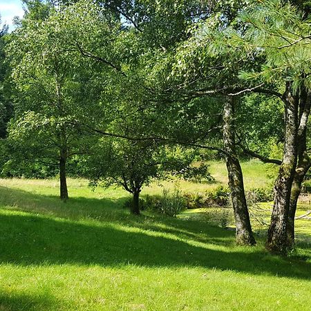 Le Grand Tetras - Col Du Donon Leilighet Grandfontaine  Rom bilde